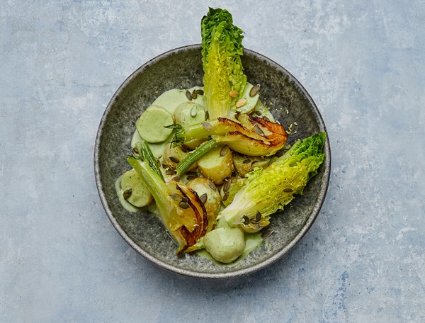 🥕 Vegetar Måltidskassen – Skagenfood